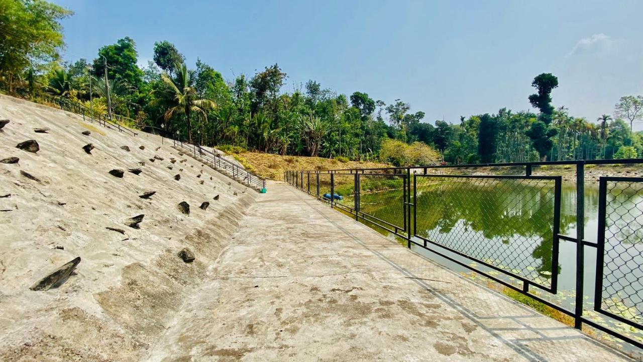 Willostays Villa Tranquil De Susanj Sakleshpur Bagian luar foto